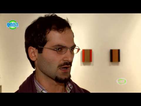 GDS დილა 19.02.2015 - გიორგი დანიბეგაშვილის უჩვეულო კედლის სკულპტურები