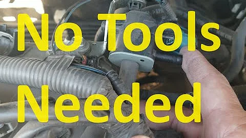 How To Test If Purge Valve is Stuck Open (No Tools Needed and Without Removing It)