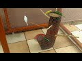 Construindo um viveiro para periquitos australianos