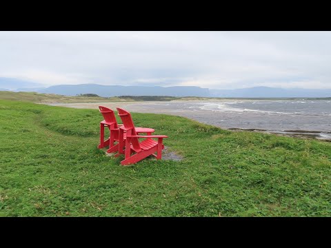 Vídeo: The Thrombolites of Flower's Cove, guia per a visitants de Terranova