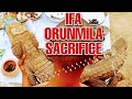 Ifa orunmila sacrifice live in babalawo orisha shrine