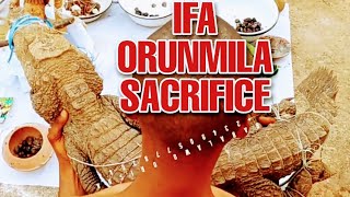 Ifa Orunmila Sacrifice Live In Babalawo Orisha Shrine