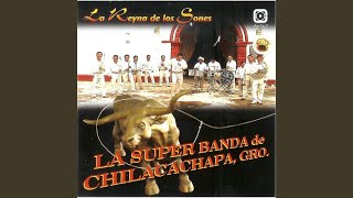 Video thumbnail of "La Super Banda de Chilacachapa, Gro - Ojitos Negros"