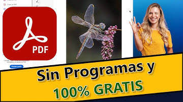 Cómo CONVERTIR una IMAGEN EN PDF en Segundos (Fácil y GRATIS)