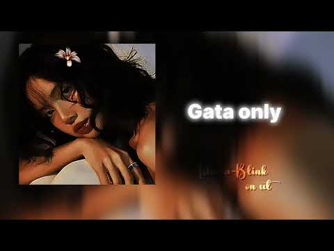 Audio edit 🎀✨💌(Gata only version)