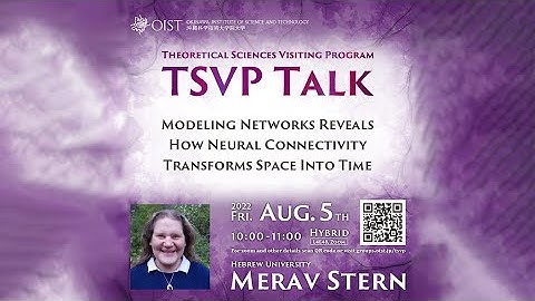 Merav Stern - Modeling Networks Reveals How Neural Connectivity Transforms Space Into Time