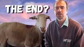 The End of Sheep Breeds? Breeding Sheep for Performance by Farm Learning with Tim Thompson 3,685 views 2 weeks ago 15 minutes