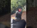 Tokyo marui airsoft glock 17 gen 5 mos with a holosun red dot