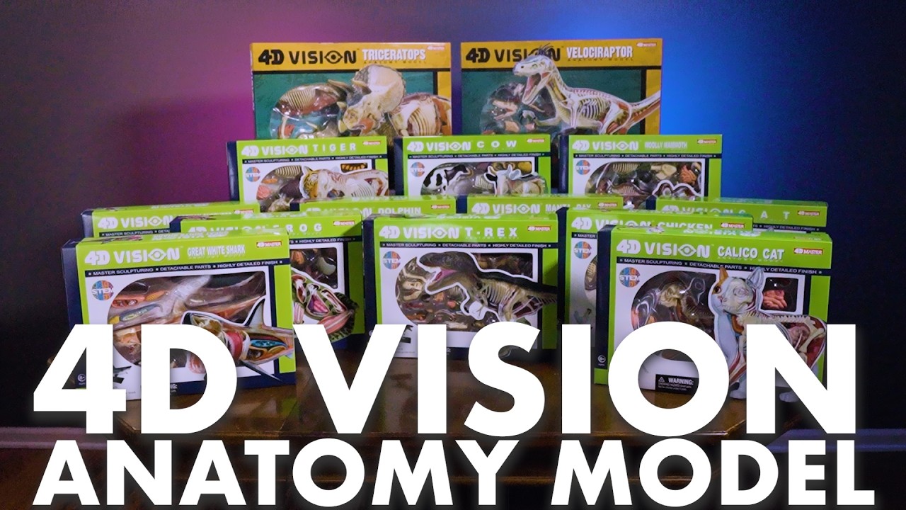 4D Vision German Shepherd Anatomy Model | AreYouGame – AreYouGame.com