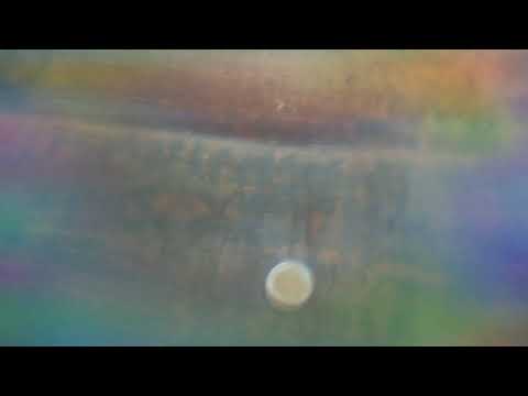 اغنية الاختفاء