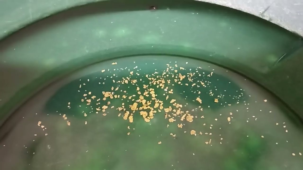 Самородно злато /Native gold - There is always gold