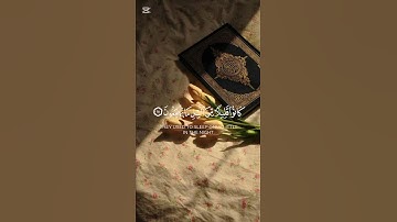 سورة الذاريات {الآية 15} بصوت الشيخ محمد الوكيل ❤️❤️