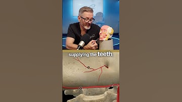 Injecting the chin? Know where these 2 arteries are — or risk serious complications