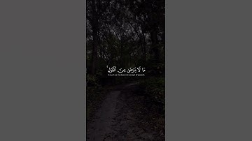 الشيخ القارئ ياسر الدوسري #تلاوة_مميزة #اكسبلور #تلاوات #راحة_نفسية #تلاوة_خاشعة #قاری #قرآن #لايك