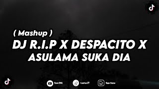 DJ R.I.P X DESPACITO X ASULAMA SUKA DIA (MASHUP) || REMIX TERBARU 2023