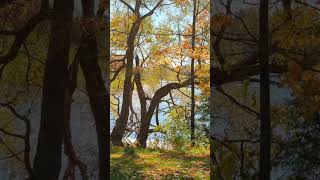 Spectacular Autumn Day.