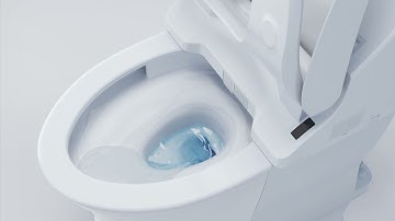 So sánh bồn cầu xả thẳng và bồn cầu xả xoáy của Toto