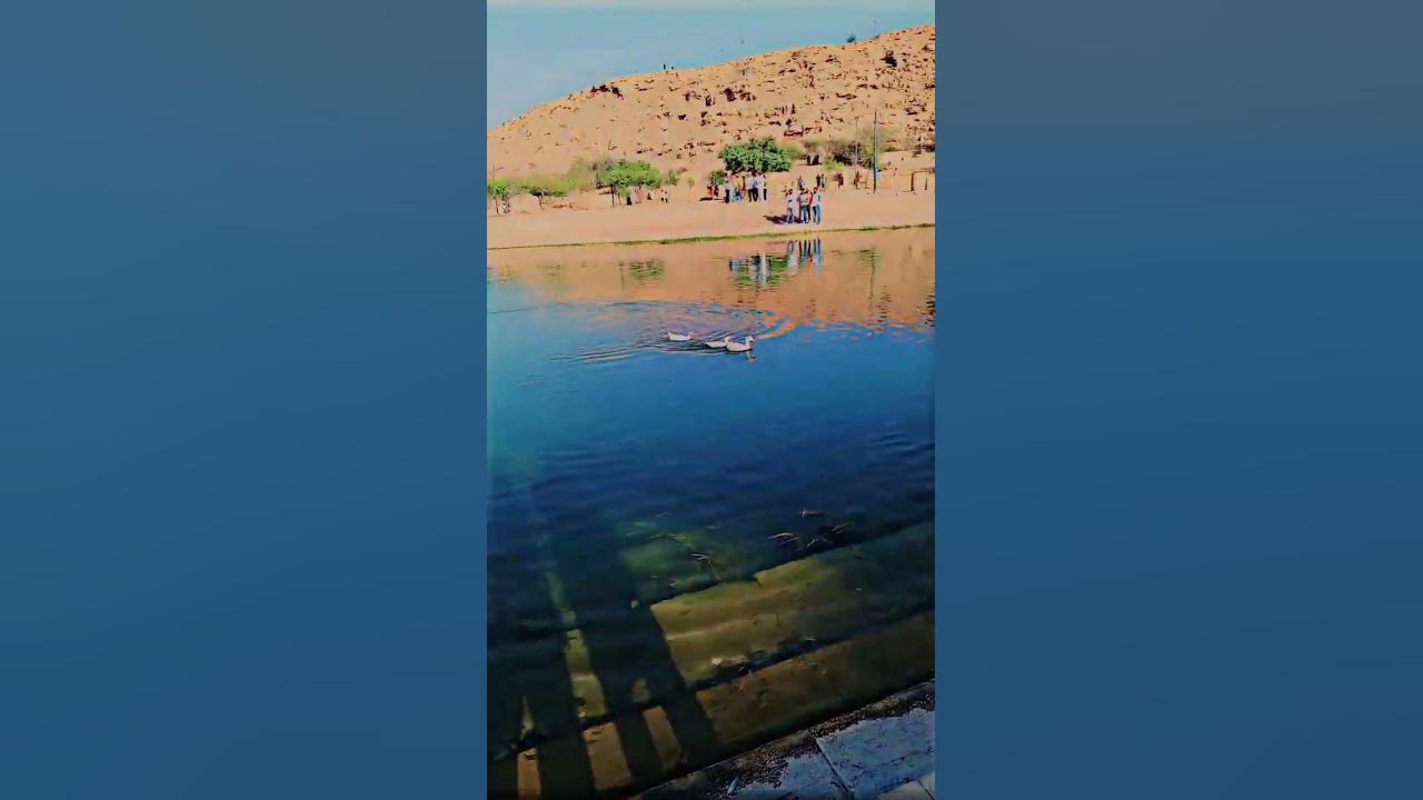Tera kasoor || vishal mishra || #trending #song #ksa #riyadh