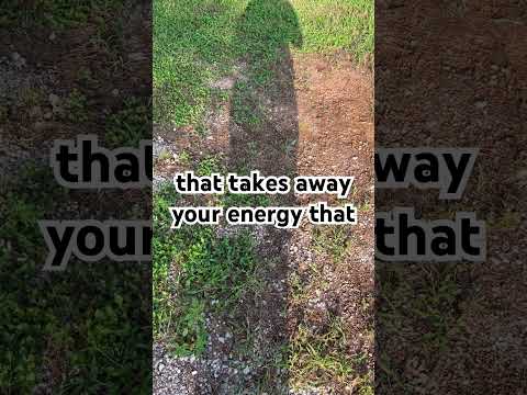 Humanning Game Tip Optimize Your Experience Nervoussystemregulation Perspective