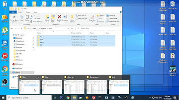 RF Tutorials : Changing Mau skin, with existing Mesh/Skin