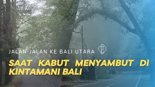 Menembus KABUT di KINTAMANI BALI | Jelajah Bali Utara