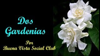 Dos Gardenias (Two Gardenias) - Buena Vista Social Club (Subt. en español & English)