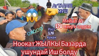 Ноокатта ЖЫЛКЫ Базарда Мынчалык  Кызык  Соода  Болгон  эмес  пай  пай  пай 😱