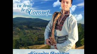 Alexandru Bradatan - Taraneasca Roata, Roata