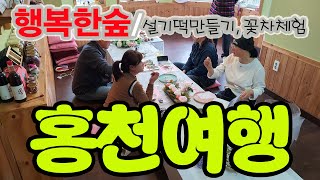 강원도 홍천여행, 컬러팜포레스트 '행복한 숲' 특별한 체험 비발디파크펜션