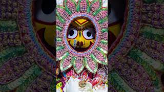 ISKCON Rajapur Gajavesha Darshan 2023.   #shorts #jagannath