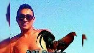 Gallera . española .. Juan fernanfez