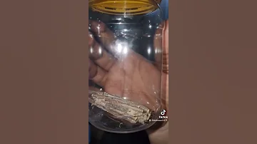 HII DAWA NI HATARI KWENYE BIASHARA NA MAPENZI 