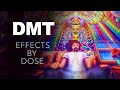 DMT: Effects by Dose | The Spirit Molecule