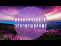 "ПРАКТИЧЕСКОЕ ПРОПИТЫВАНИЕ" практика: за столом Отца. Валерий Гусаревич . 26.04.2020