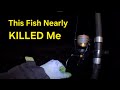 Giant Skate Shore Fishing In Scotland, Highland Sea Fishing Not For The Faint Hearted