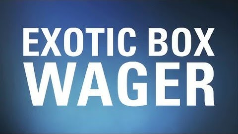 How to Place an Exacta Box Wager - TVG.com Tutorials