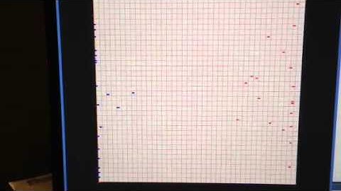 Crowd Simulation Program on CPU