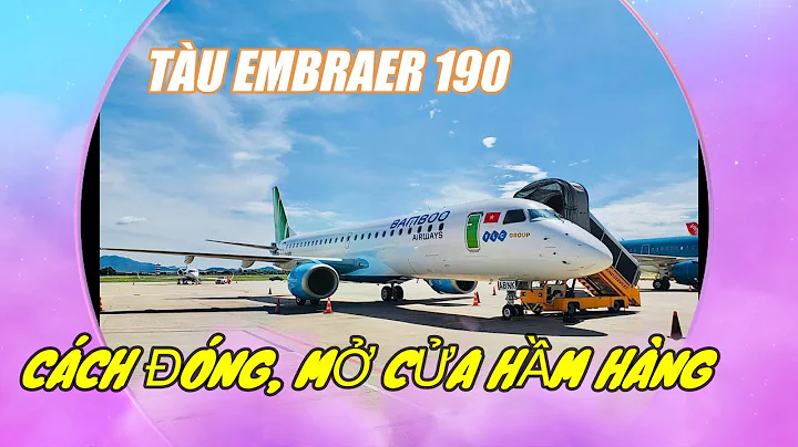 Embraer 190 Cargo door operation