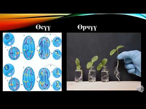 6-Осумдуктун осушу, онугушу - YouTube