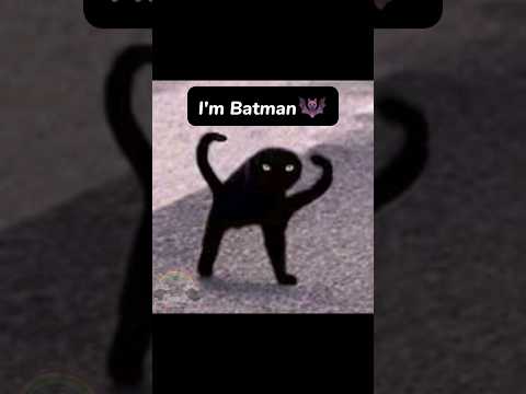 [I'm Batman 🦇] #cat  #edit #meme #capcut