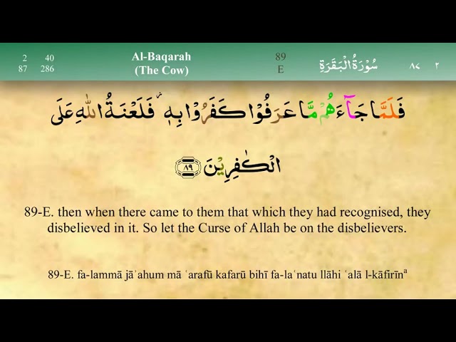 Juz 1 | Quran | Sheikh Mishary Rashid Al-Afasy | Arabic English Translation | Para 1 قرآن class=