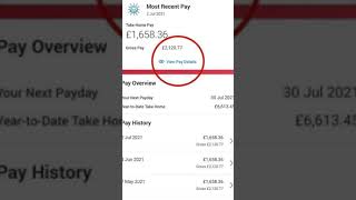 Check your pay on workday