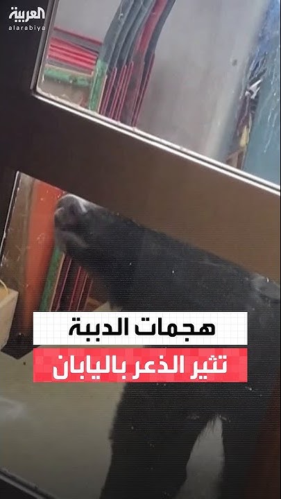   13     ..      
 - نشر قبل 18 دقيقة