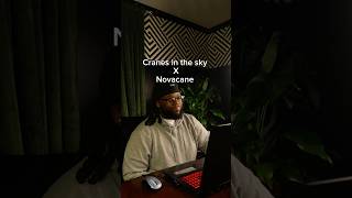 Solange - Cranes In The SkyXFrank Ocean - Novacane #frankocean #mashup #rnbremix #prodbysih