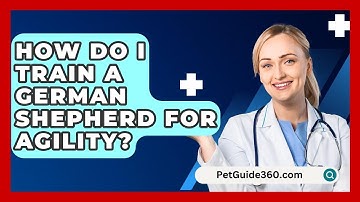 How Do I Train A German Shepherd For Agility? - PetGuide360.com