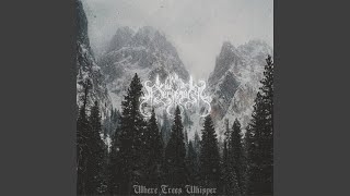 Echoes of the Silent Forest