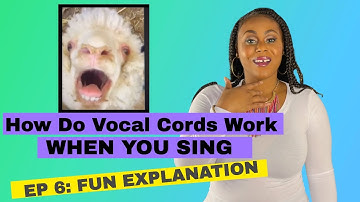 How Do Vocal Cords Work When you Sing Video(2021) | Fun Explanation | Vocalfy