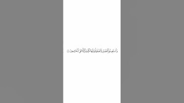 صلاة التراويح ليلة ١ رمضان ١٤٤٥هـ سورة البقرة الاية ٤٥ الشيخ #بدر_التركي