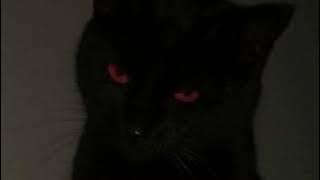 pick up the phone - (mike dean remix) travis scott [sped up   looped outro]