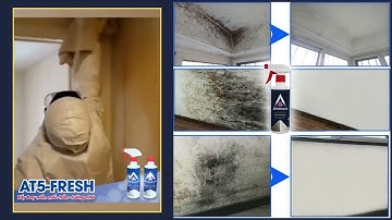 Tẩy Mốc Tường AT5 REFESH  - Chuyên Dùng Để Xử Lí Các Vết Bẩn Cứng Đầu Trên Tường Nhà
